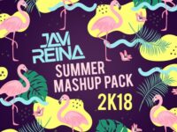 Javi Reina 2018 Summer Mashup Pack