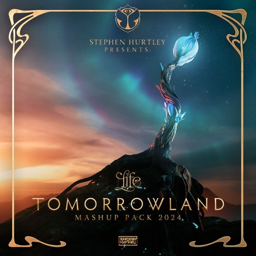 Stephen Hurtley Tomorrowland Mashup 2024