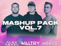Waltry Mashup Pack Volume 7