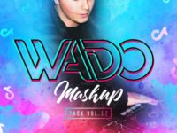 Wado's Mashup Pack Vol. 17