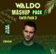 DJ Waldo Mashup Pack 3